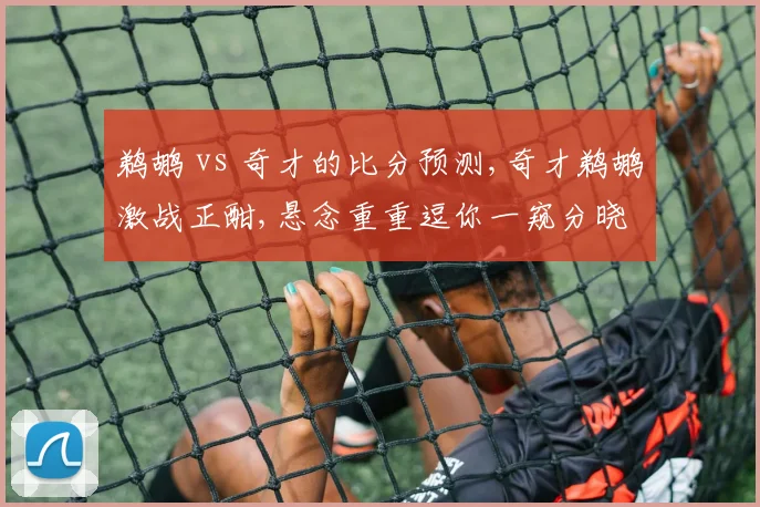 鹈鹕 vs 奇才的比分预测,奇才鹈鹕激战正酣,悬念重重逗你一窥分晓